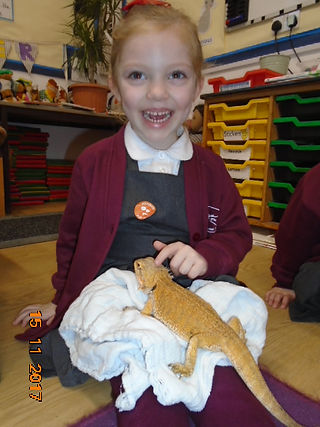 blog WED animals (3)