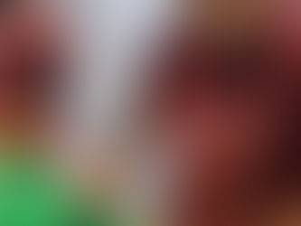 Friesians' trip to FGR