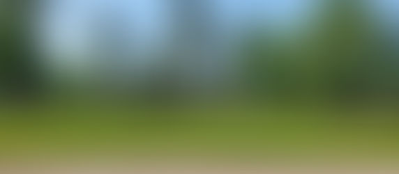 The Girl from Scenic Woods