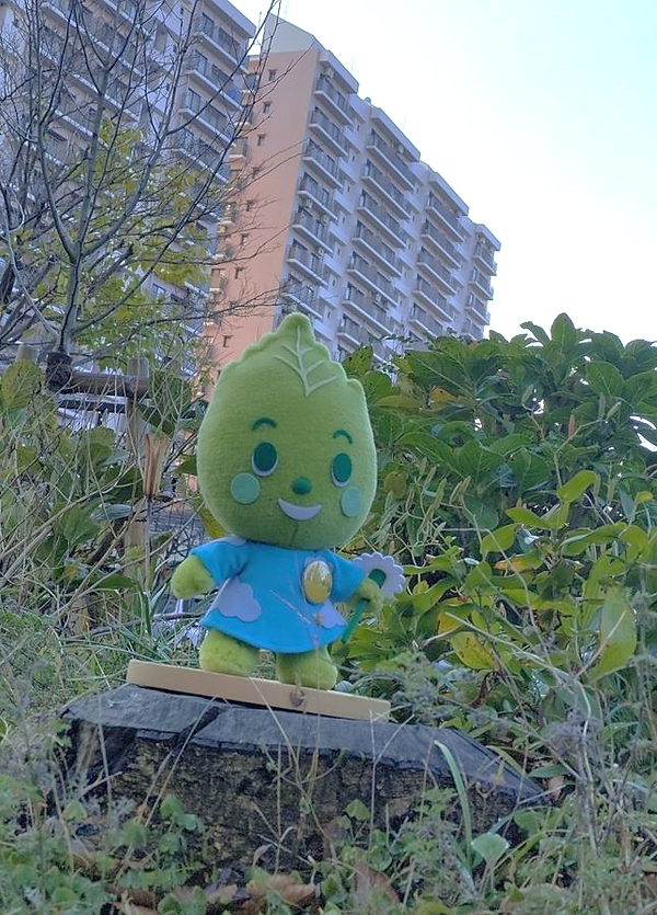 IMG_20221213_144905-拡大1.png