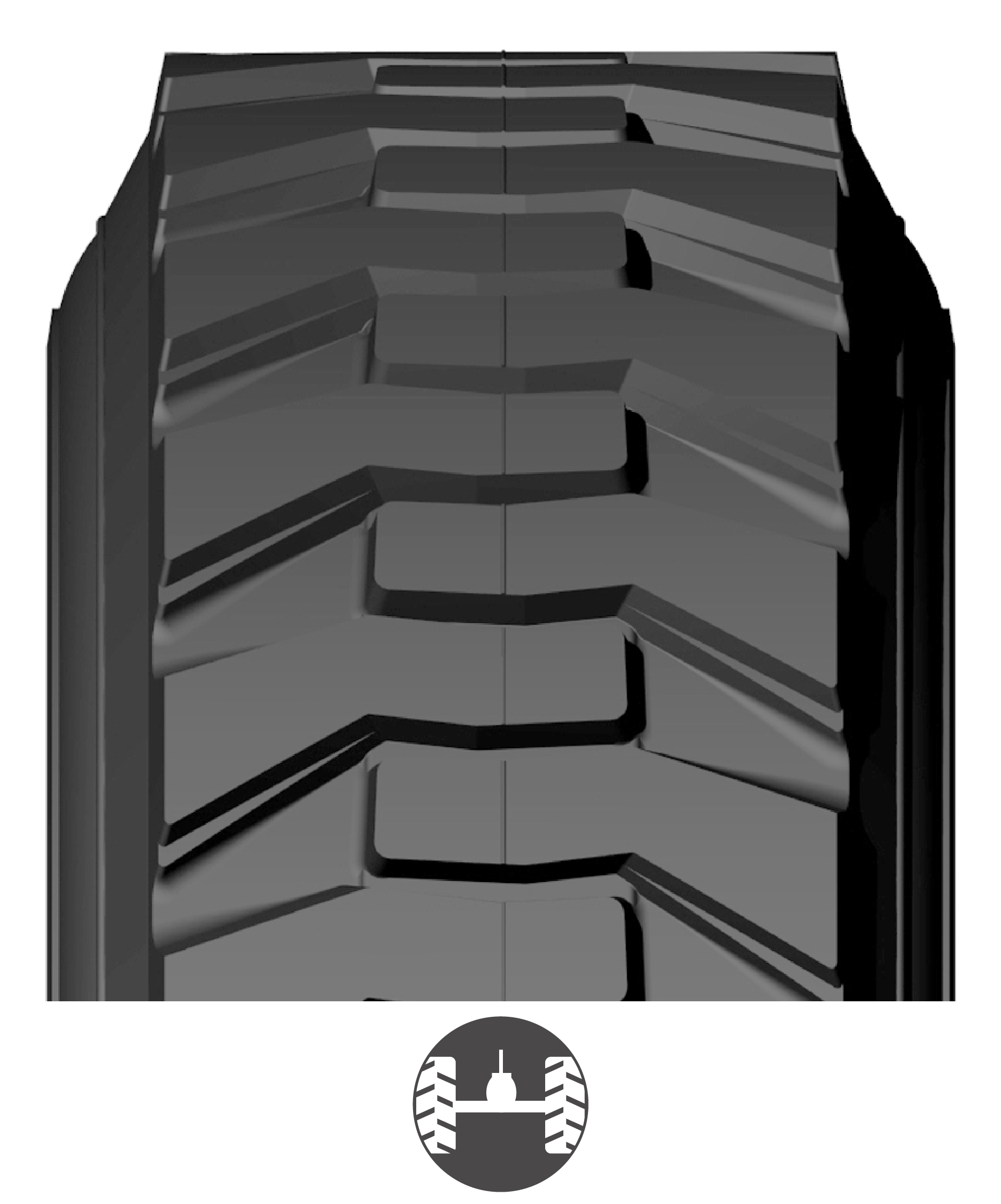LGT_USA BANDAS WEB_2026-02.png