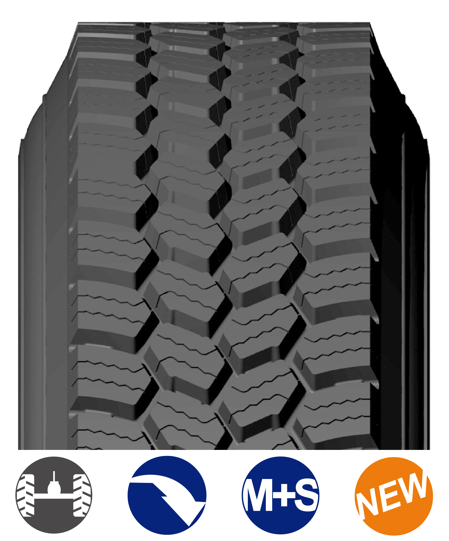 SD_USA BANDAS WEB_2026-02.png