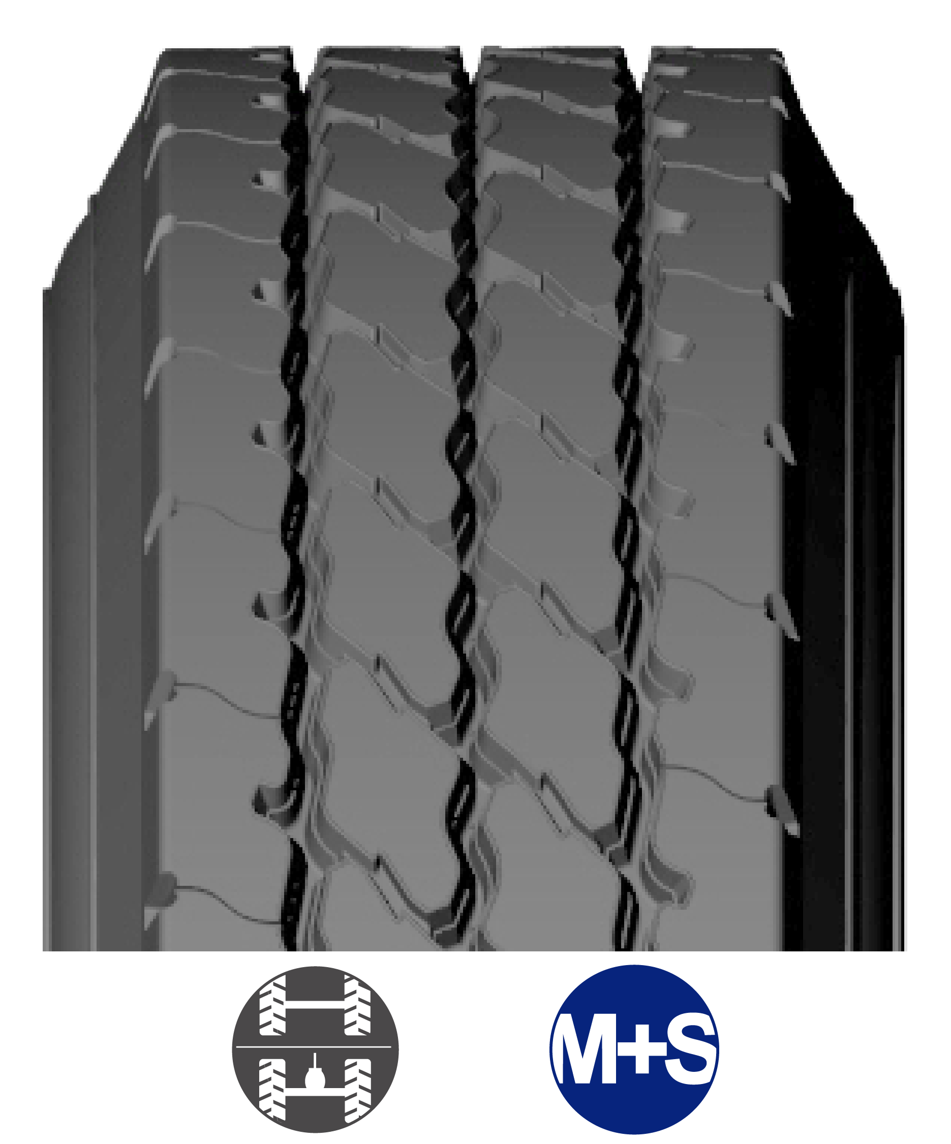 MPO_USA BANDAS WEB_2026-02.png