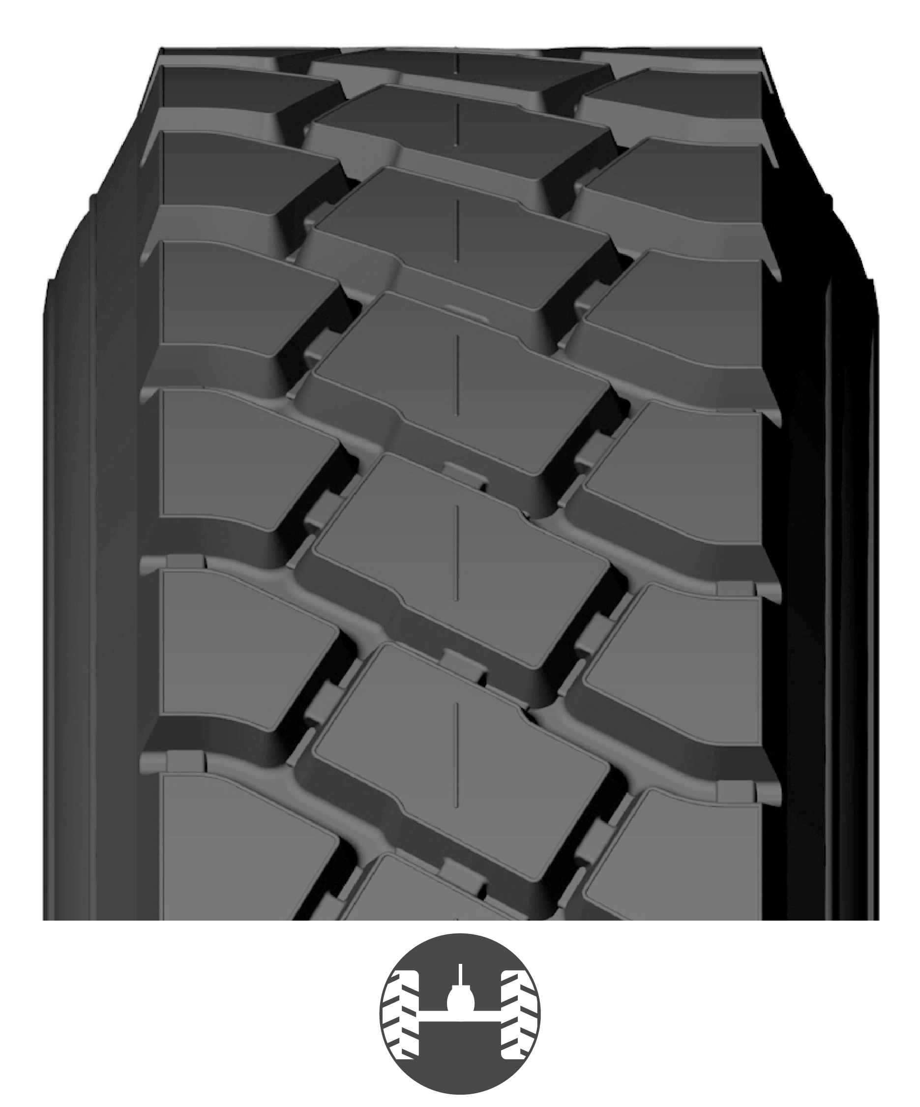 SSL_USA BANDAS WEB_2026-02.png