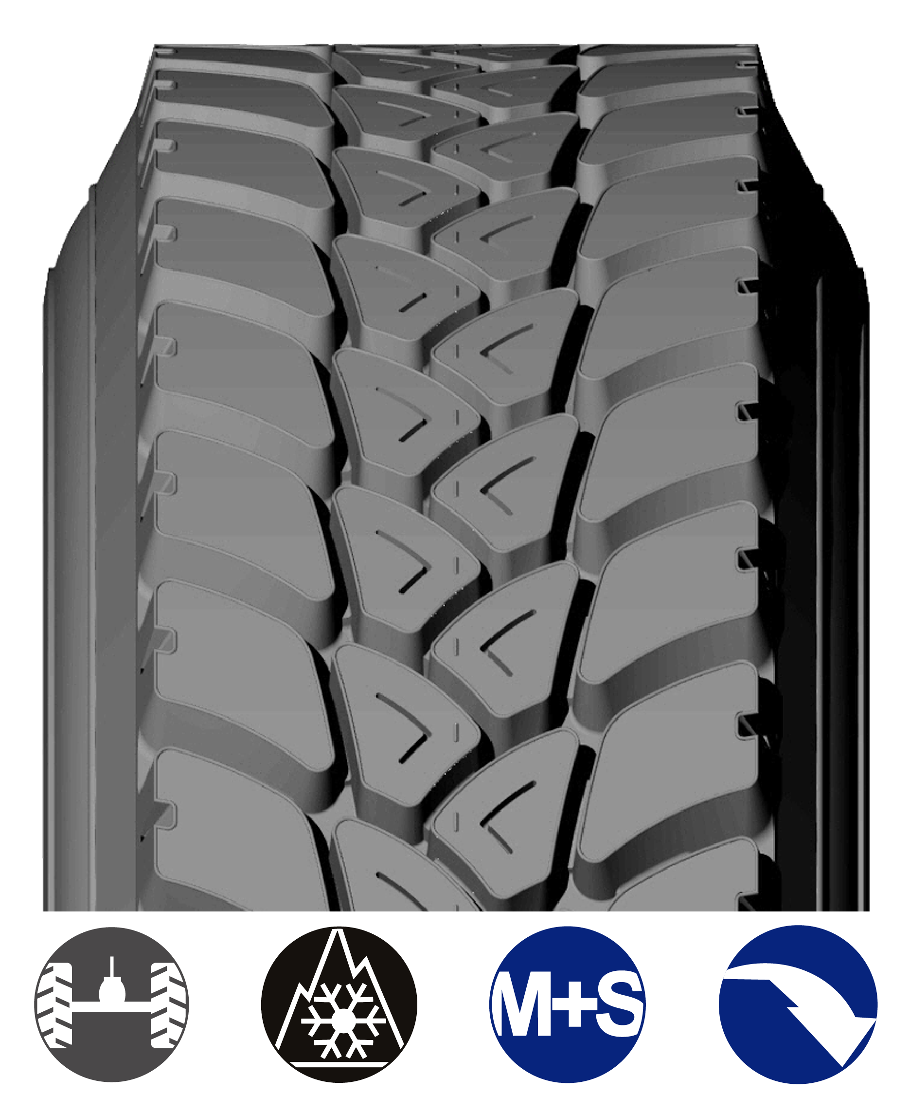 ADT_USA BANDAS WEB_2026-02.png
