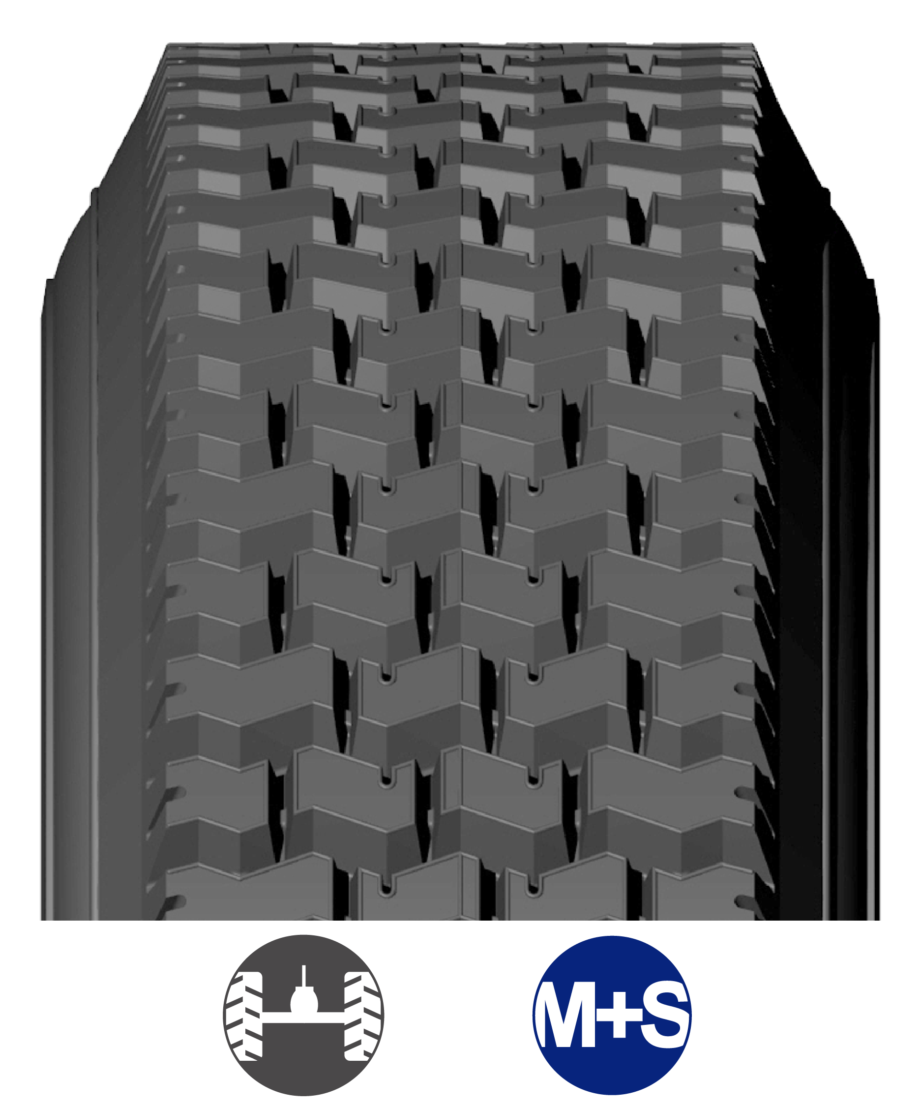 GL_USA BANDAS WEB_2026-02.png