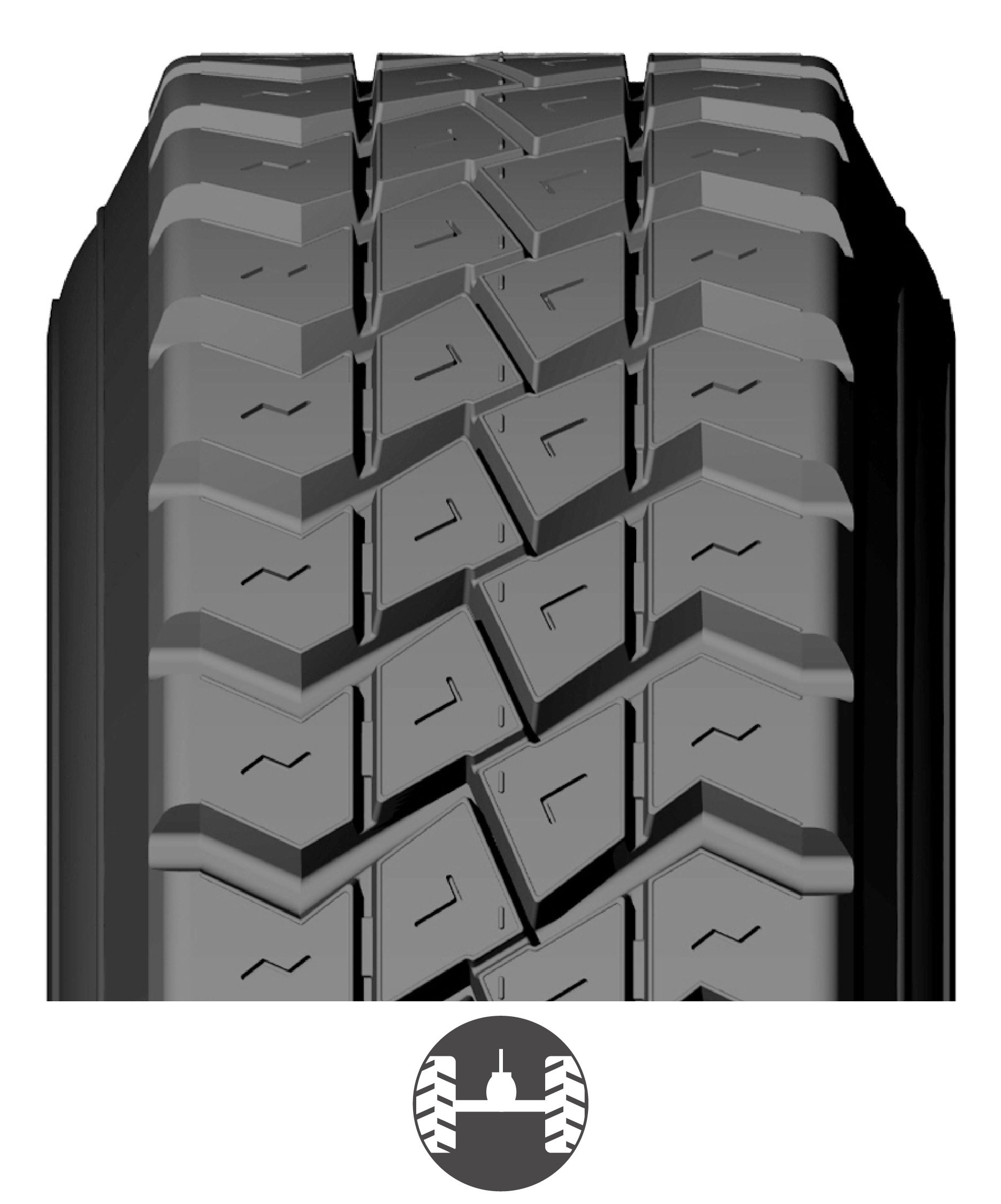 WLM_USA BANDAS WEB_2026-02.png