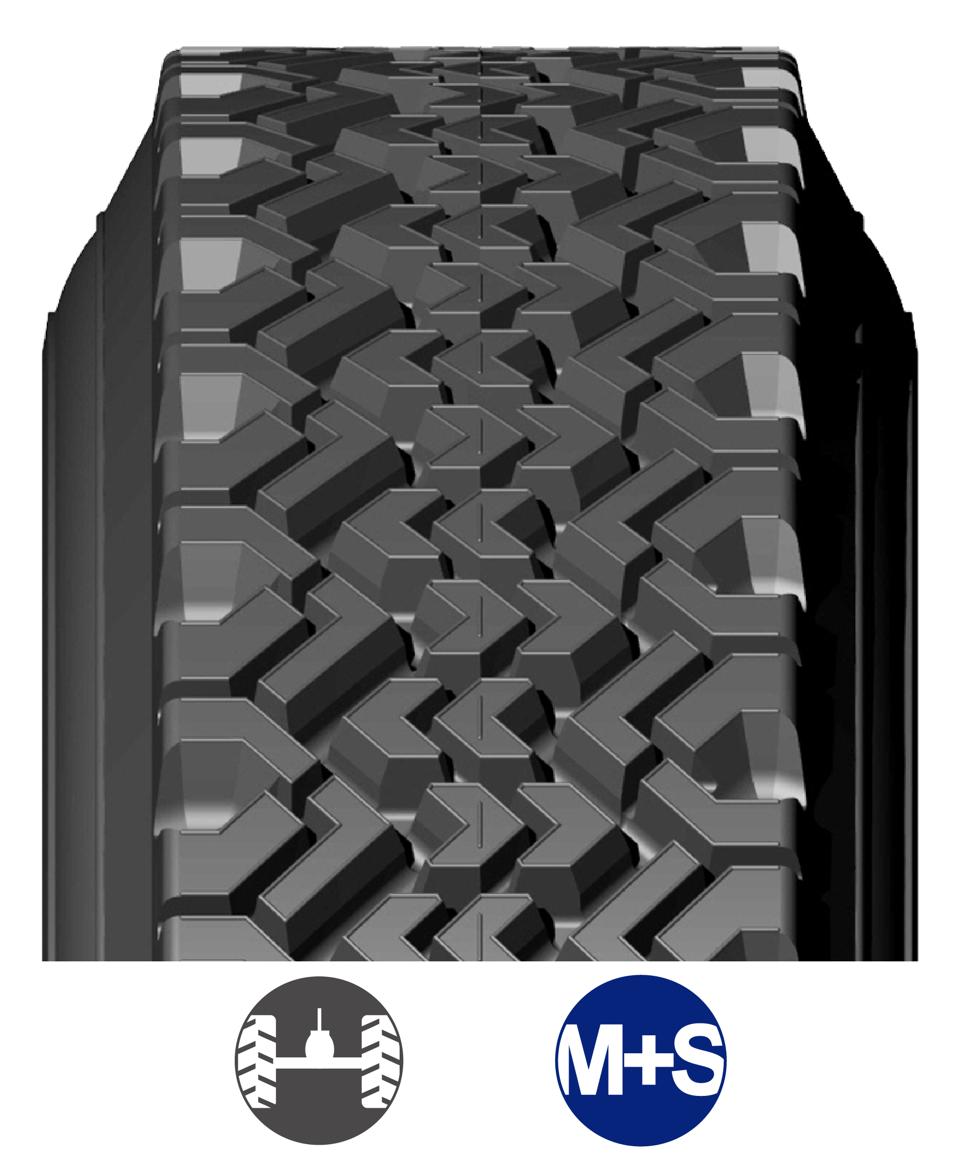WT_USA BANDAS WEB_2026-02.png