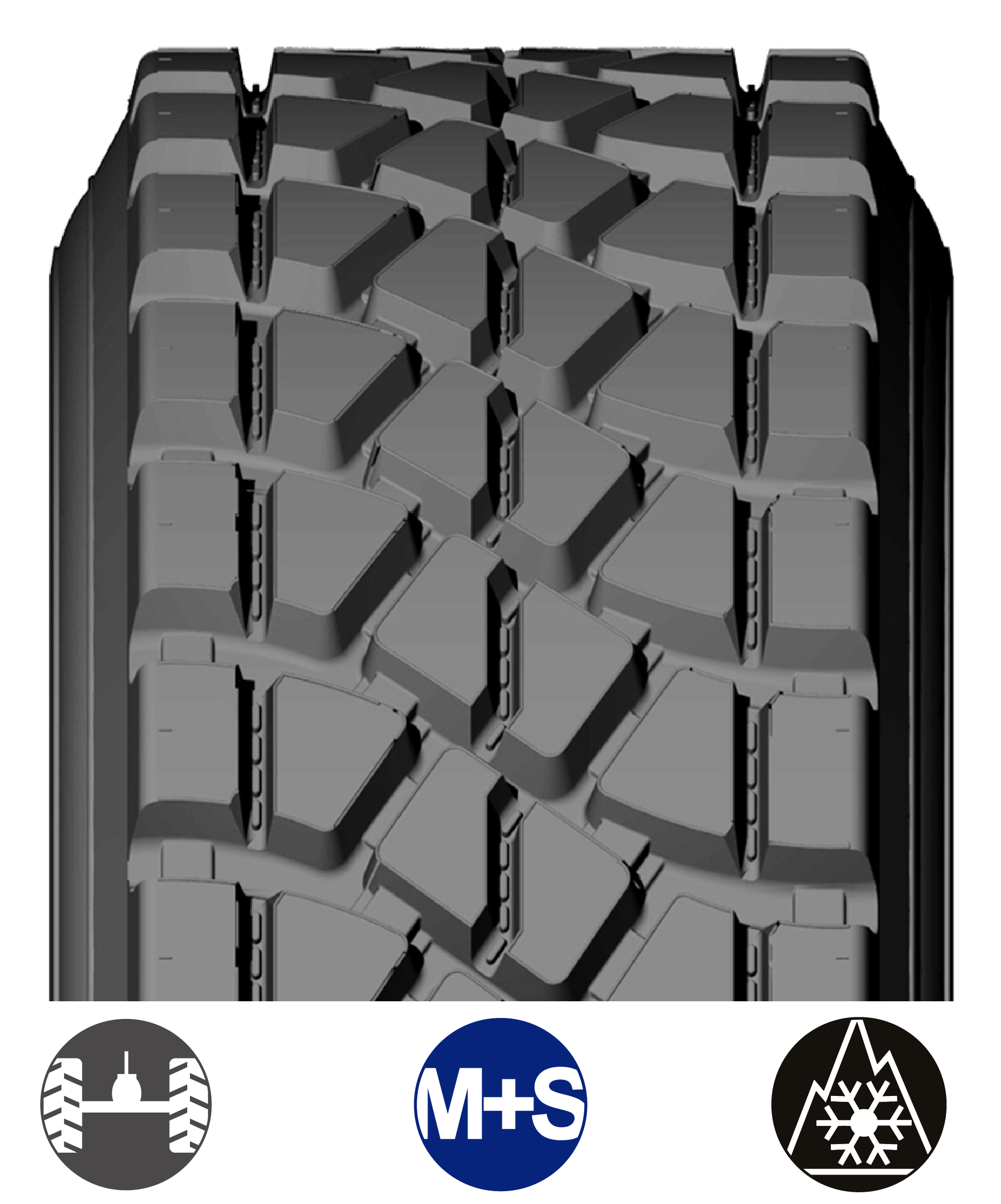 ETW_USA BANDAS WEB_2026-02.png