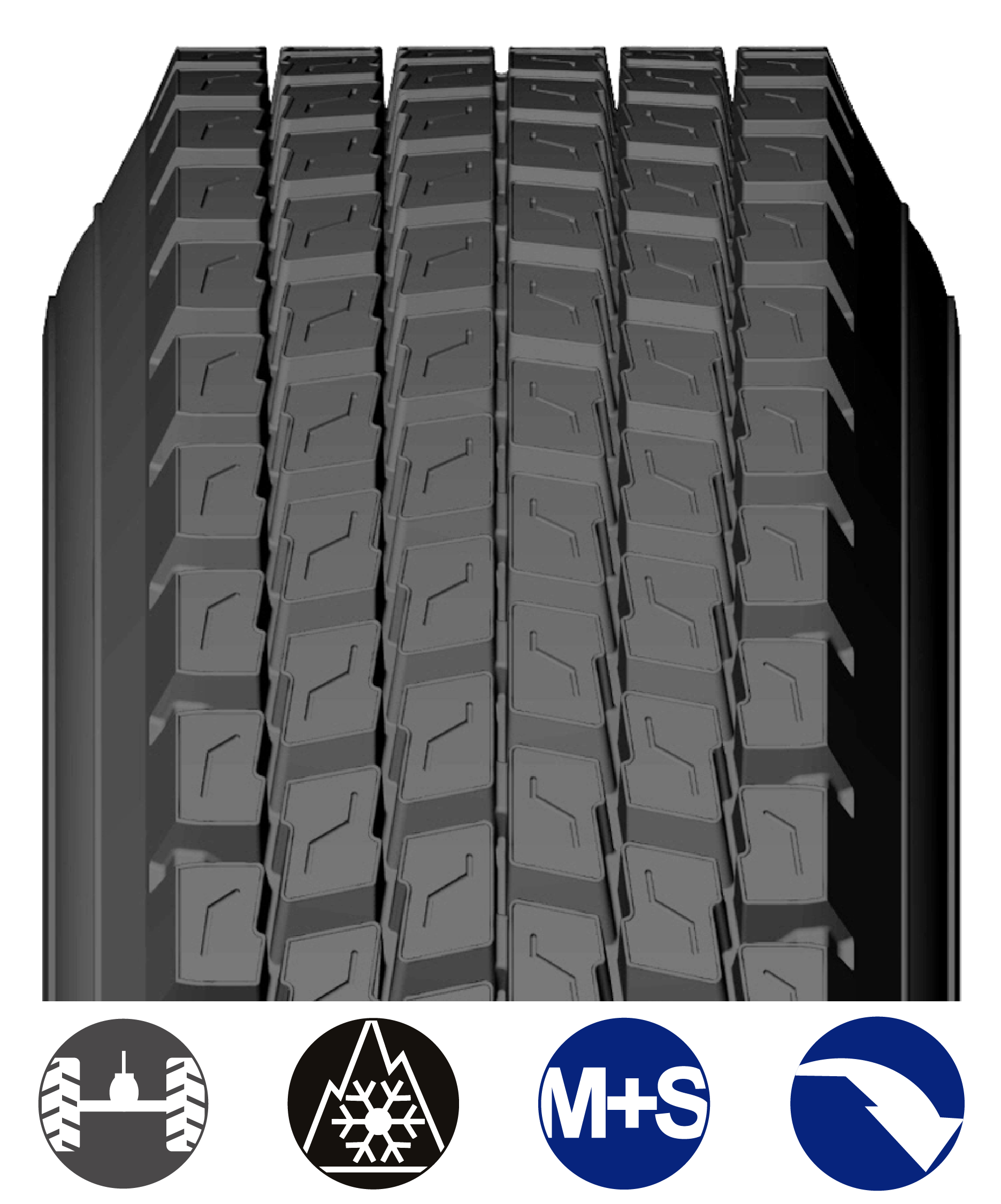 DRD_USA BANDAS WEB_2026-02.png