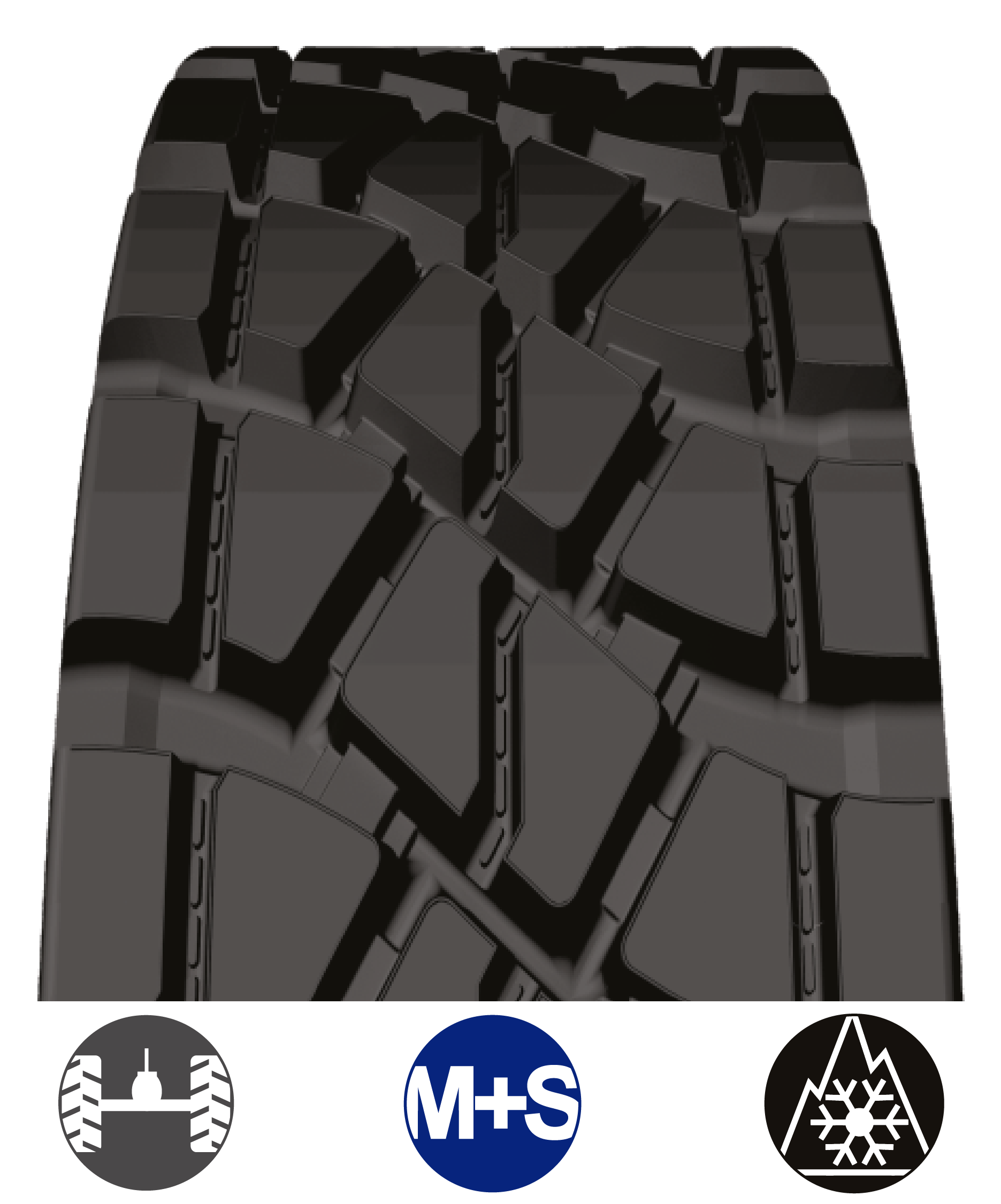 ETW_BANDAS WEB_2026-02.png