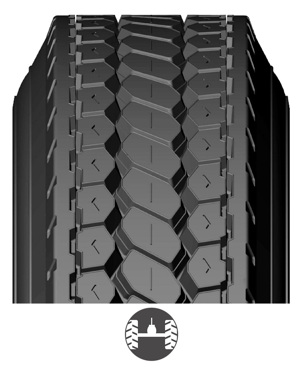 LDP_USA BANDAS WEB_2026-02.png