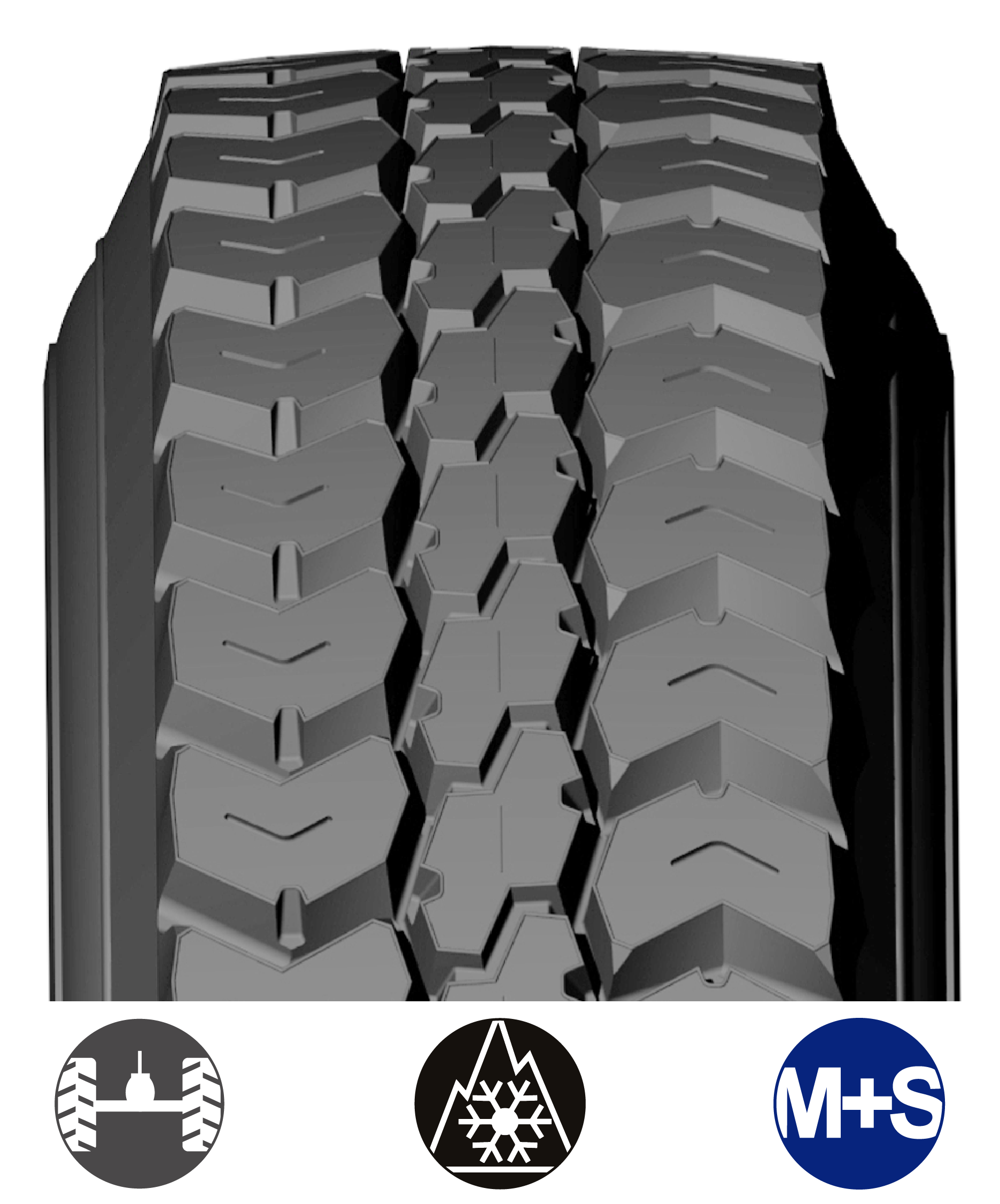 KOP_USA BANDAS WEB_2026-02.png