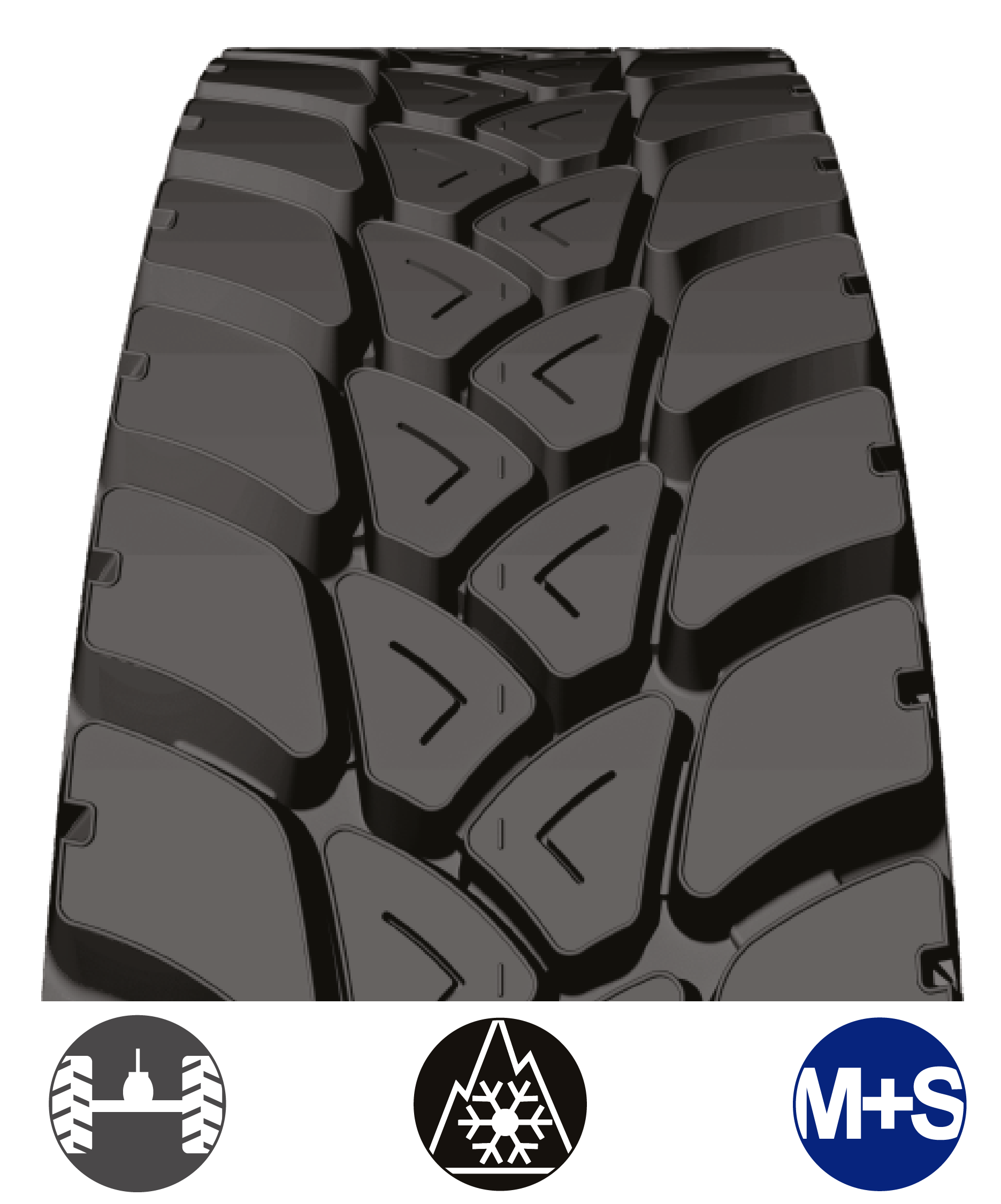 ADT_BANDAS WEB_2026-02.png