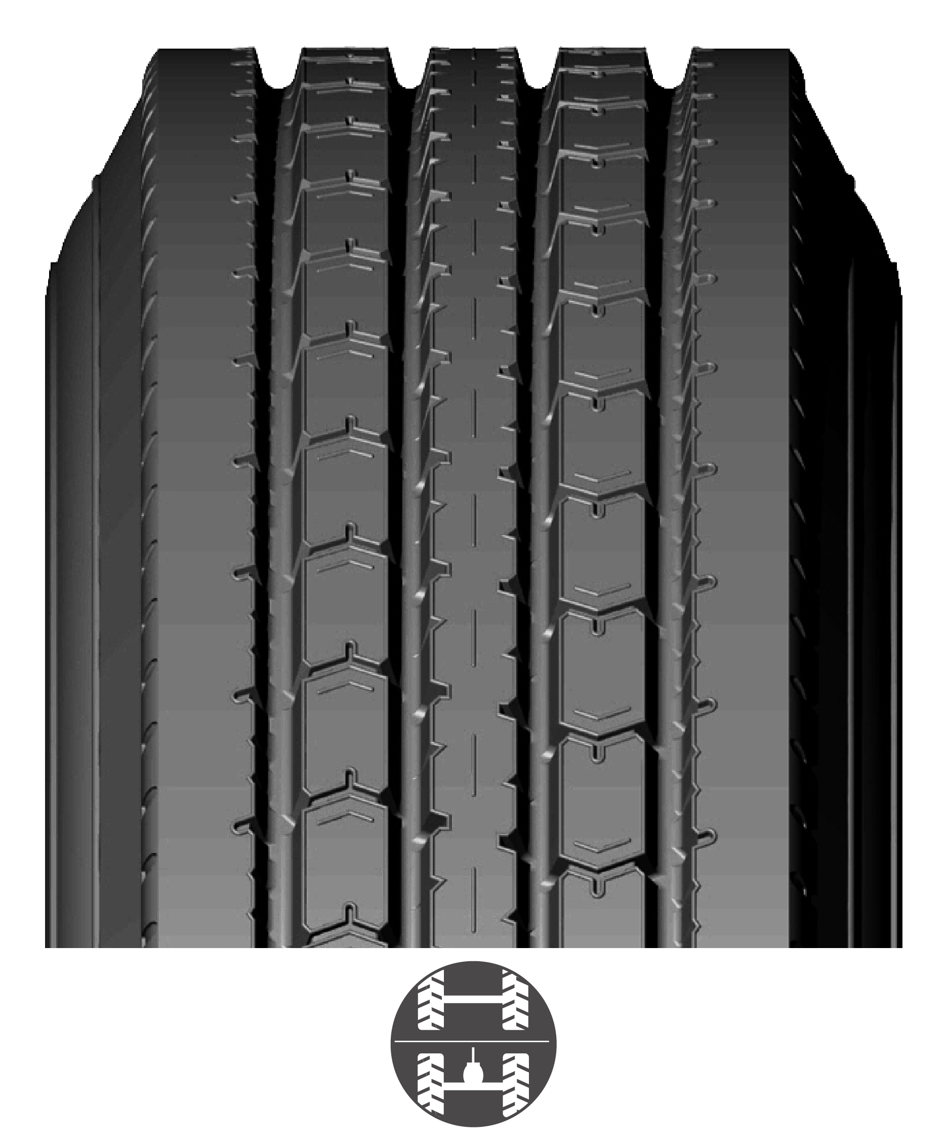 TRP_USA BANDAS WEB_2026-02.png