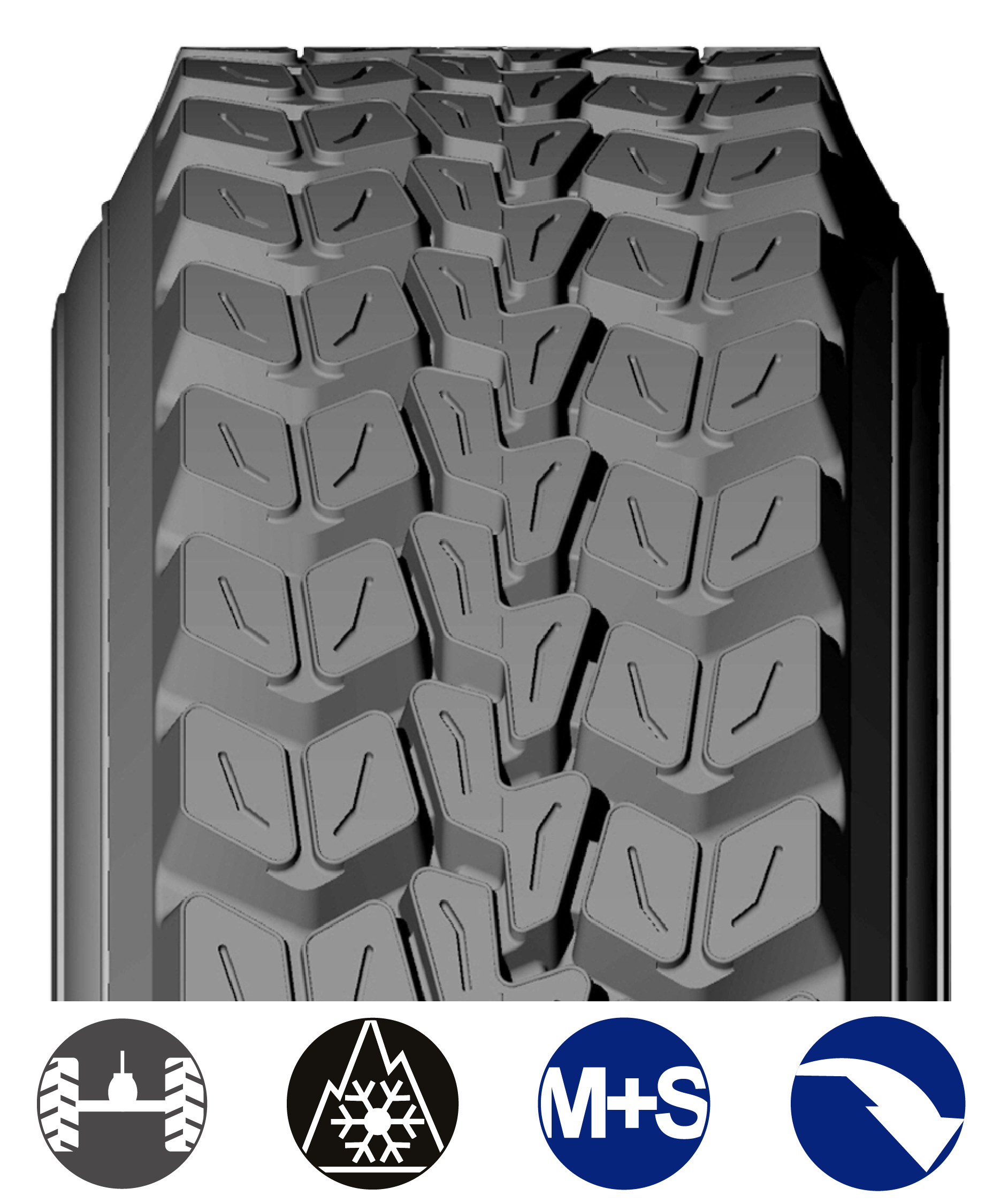 AD_USA BANDAS WEB_2026-02.png