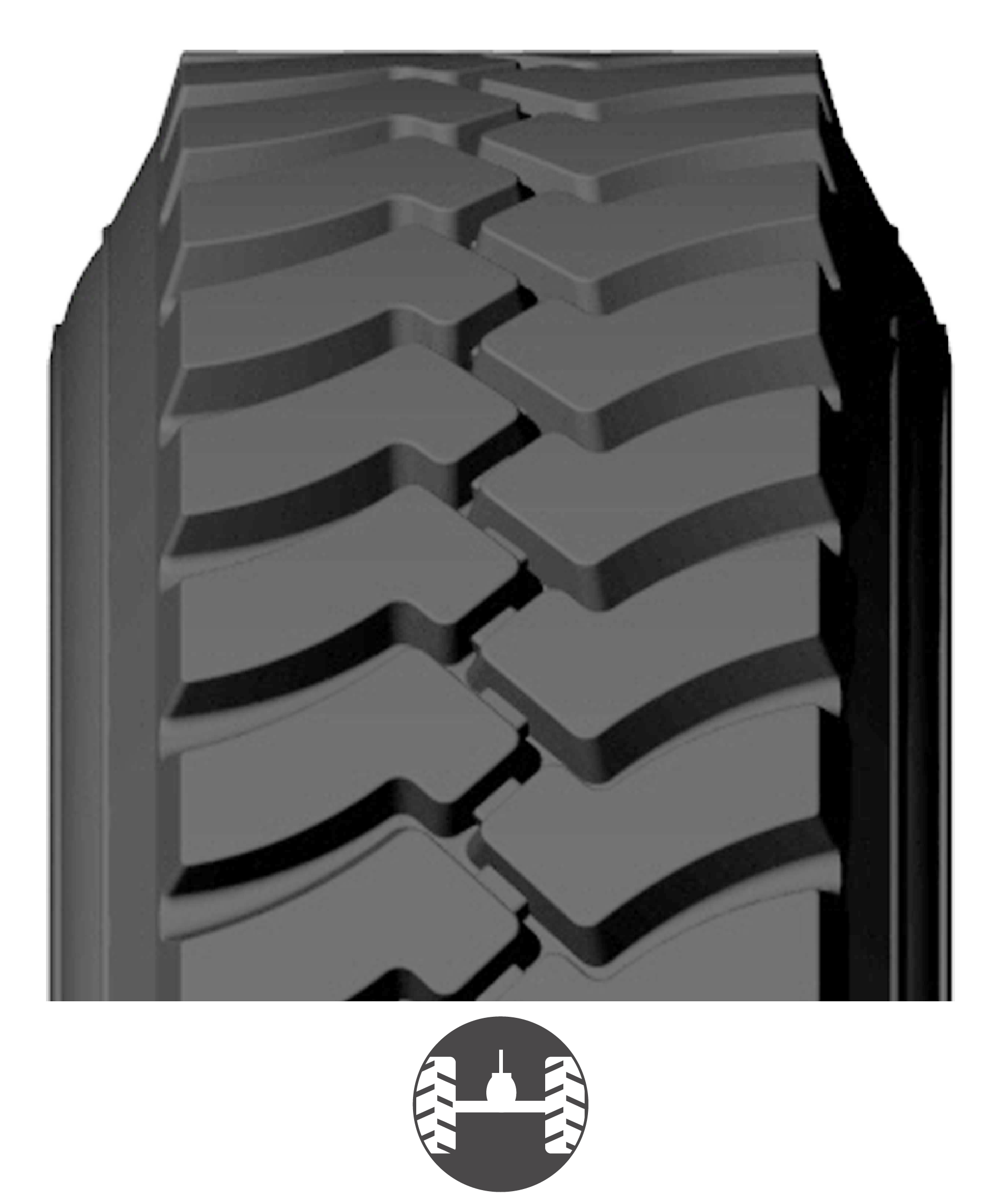 LL_USA BANDAS WEB_2026-02.png