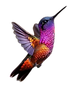 Kolibri.png