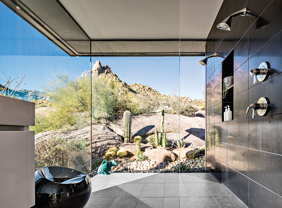 Arizona lifestyles enjoy bringing the beauty of the desert surroundings into the home.