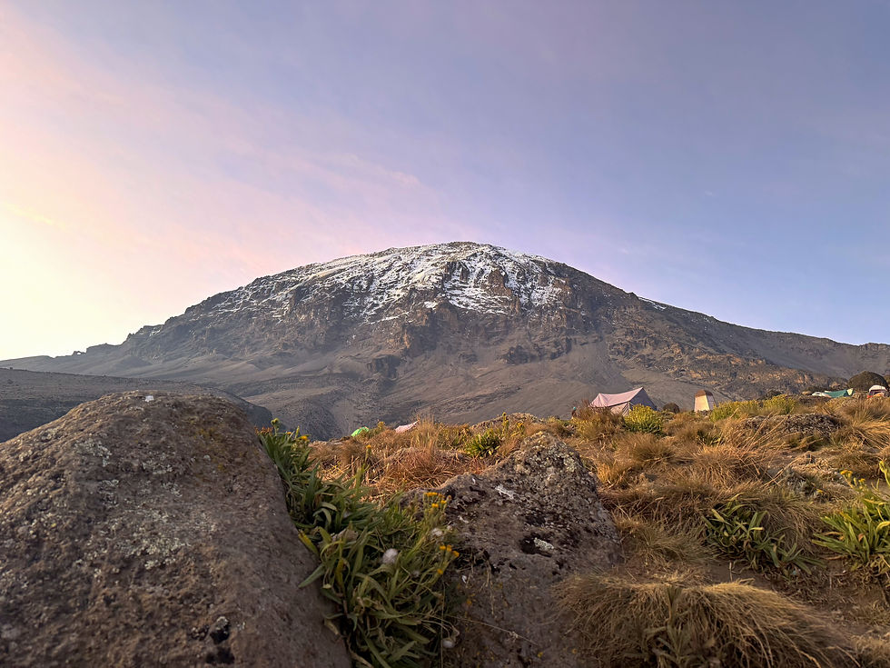 A photo of Mt Kilimanjaro at dusk from camp