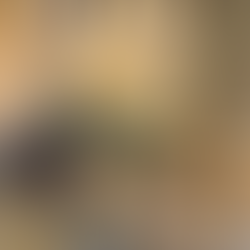 A half dozen donuts from Yellow Light in Michigan Central