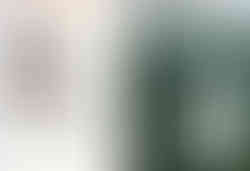 Digital spread of the Mighty Oak advertorial in the Roads & Kingdoms 2026 print magazine