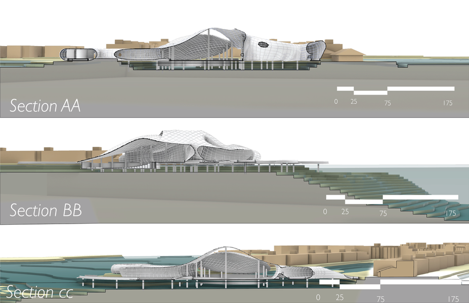 Octopus Sections for Website.png