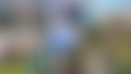 Es liegt in Ihrer Hand!