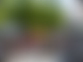 Genussfestival 2025: Feiern. Probieren. Genießen.