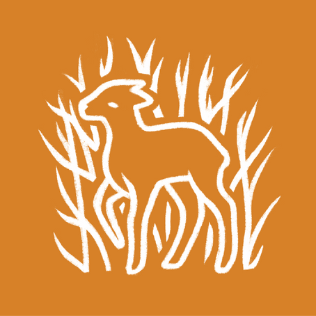 A Door Stood Open in Heaven (4:1)