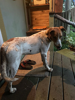 Makana