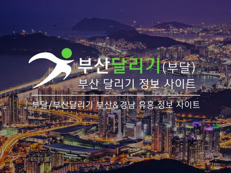 부산 여행, 어디 갈지 고민이라면?