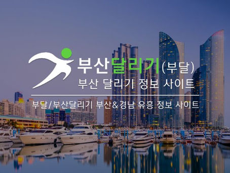 가끔은 혼자만의 시간이 필요한, 부산 남자 혼자 여행