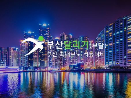 서울에도 부달 같은 사이트를 찾는다면?