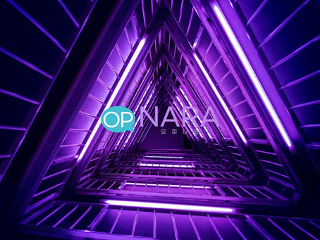 오피나라 최신주소 안내 페이지