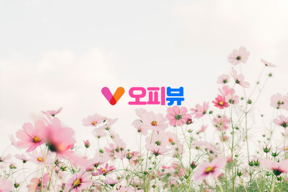 대전오피, 다양한 오피 서비스 정보를 한곳에