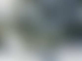 Die Zukunft des Bauens: Nachhaltigkeit durch BIM