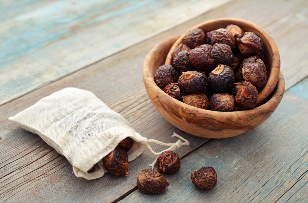 Soap Nut 🇲🇲