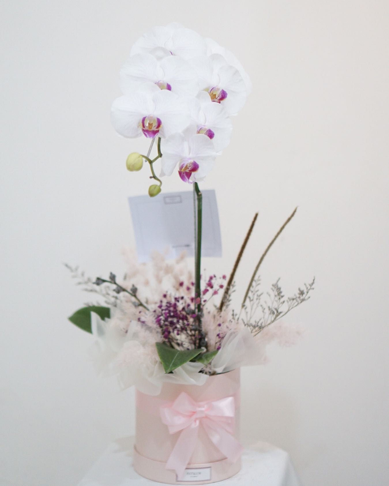 Single Orchid Bloombox