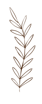 Branch.png