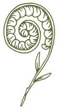 Koru Fern Green