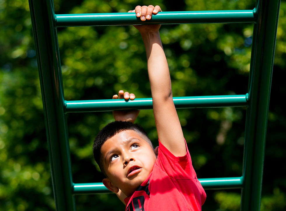 Physical Activity