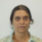 Prof. Gay Seidman
