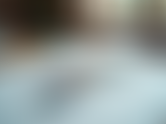 The Importance of Storefront Shop Drawings