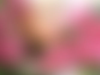 💗 Нужно немного, чтобы вызвать улыбку, и достаточно улыбки, чтобы все стало возможным. Жильбер Сесб