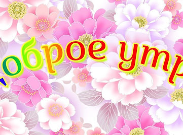 47я8.gif
