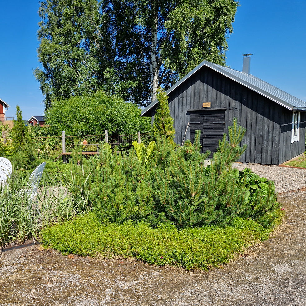 Vanhat piharakennukset, sepän paja.