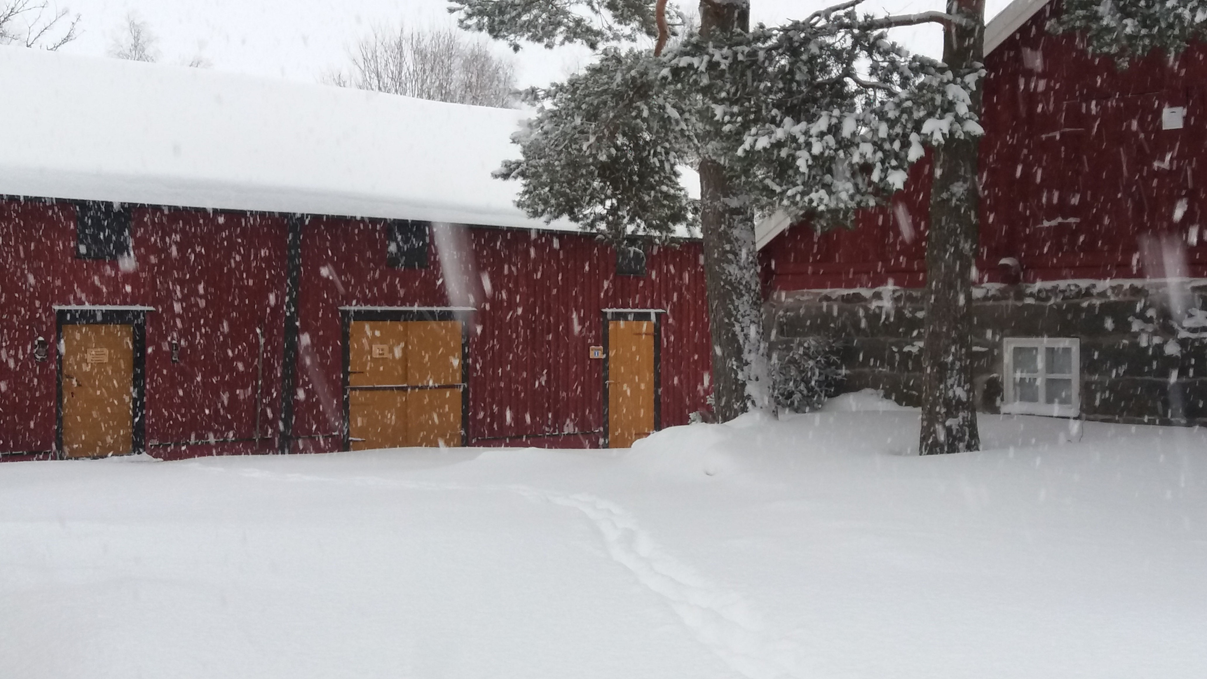 Turistikohde ja nähtävyys, Tonttukylä