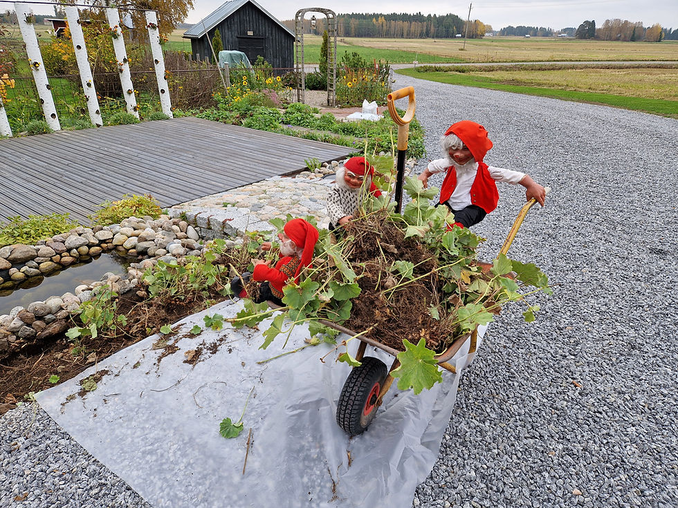 Tonttu-ukot harventaavat puron vieressä olevaa kukkapenkkiä. Kottikärry on täynnä kukkamättäitä. Sorakäytävä on uusittu ja taustalla näkyy sepän paja.