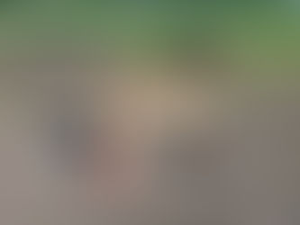 Antiikkinen polkuhevonen ennen ja jälkeen korjauksen